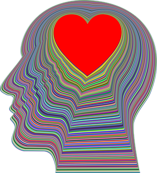 cranium-3244146__340