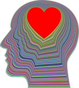 cranium-3244146__340