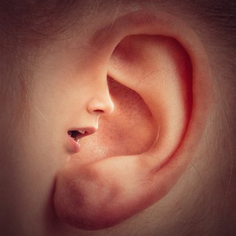 ear-3971050__340
